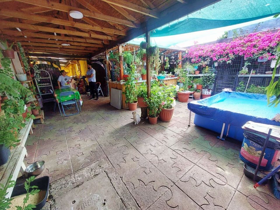 Casa con terraza en venta en El Bosque, 3 dormitorios, 75 m² — imagen 3 de 10