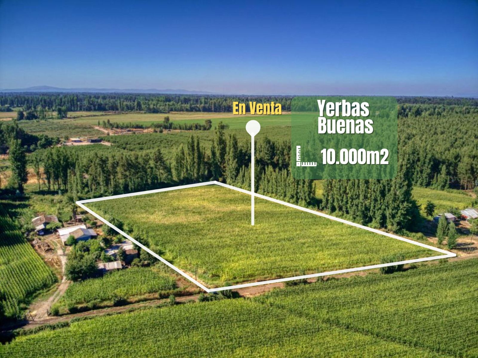 Terreno 10000 m2 en Yerbas Buenas — vista principal