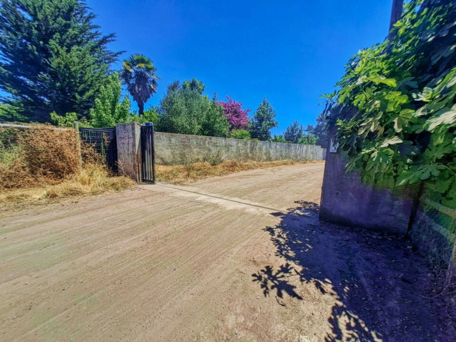Parcela barata en Retiro, 5000 m² — imagen 6 de 10