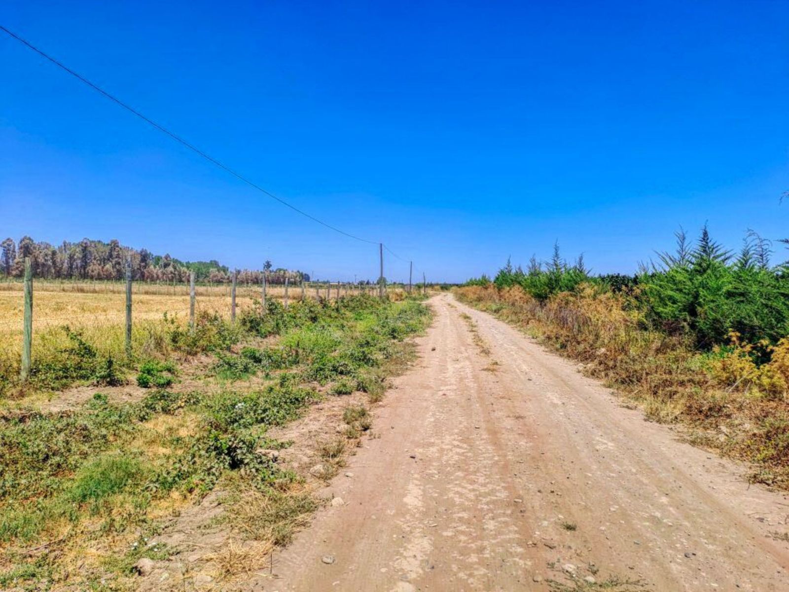 Parcela barata en Retiro, 5000 m² — imagen 8 de 10