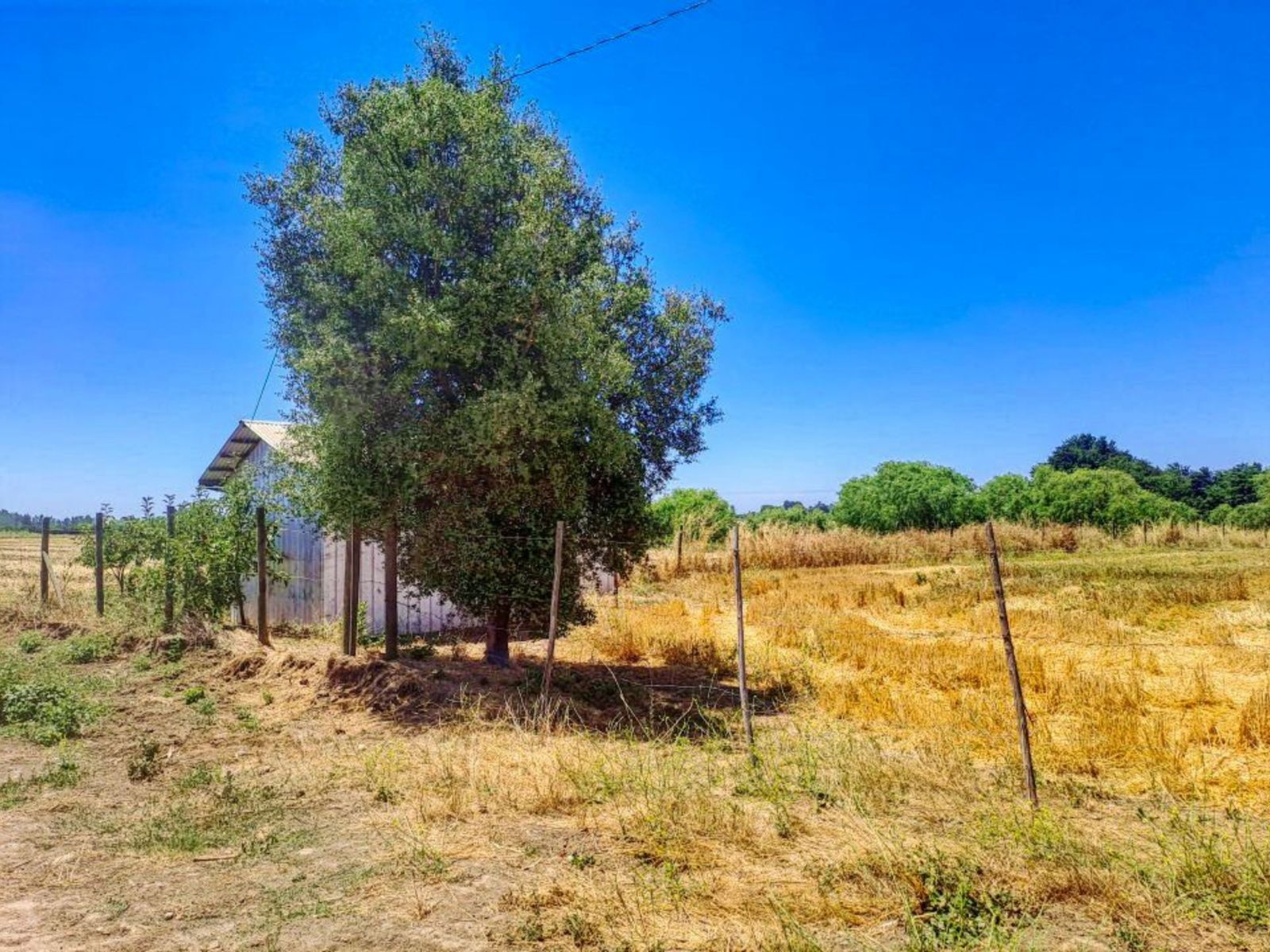Parcela barata en Retiro, 5000 m² — imagen 9 de 10