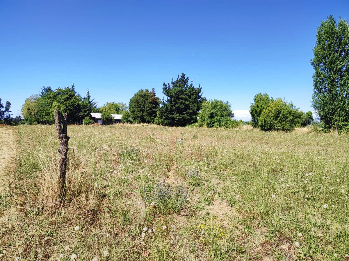 Parcela barata en Parral, 5000 m² — imagen 12 de 25