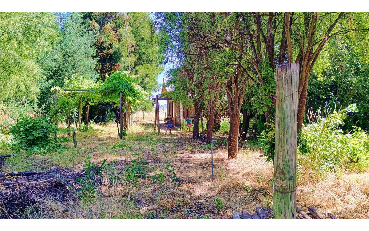 Parcela barata en Parral, 5000 m² — imagen 15 de 25