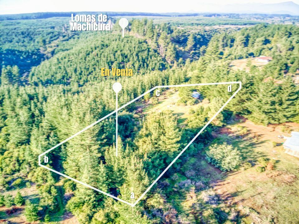 Parcela con piscina en venta en Parral, sector Otro, 3 dormitorios, 5000 m² — imagen 10 de 27