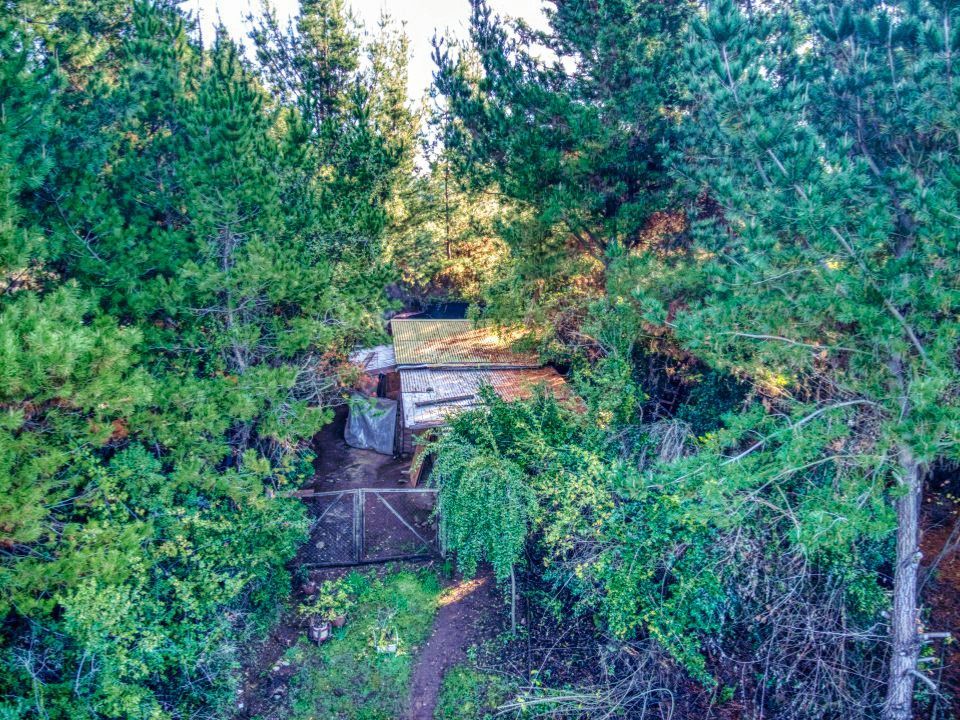 Parcela con piscina en venta en Parral, sector Otro, 3 dormitorios, 5000 m² — imagen 11 de 27