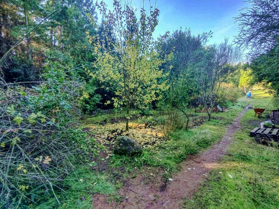 Parcela con piscina en venta en Parral, sector Otro, 3 dormitorios, 5000 m² — imagen 7 de 27